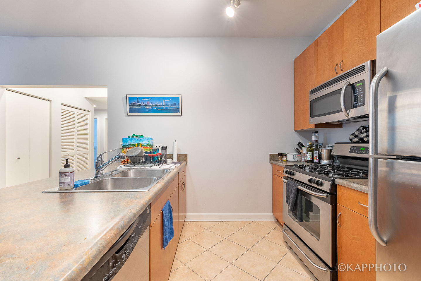 757 W Liberty Street Unit: 207