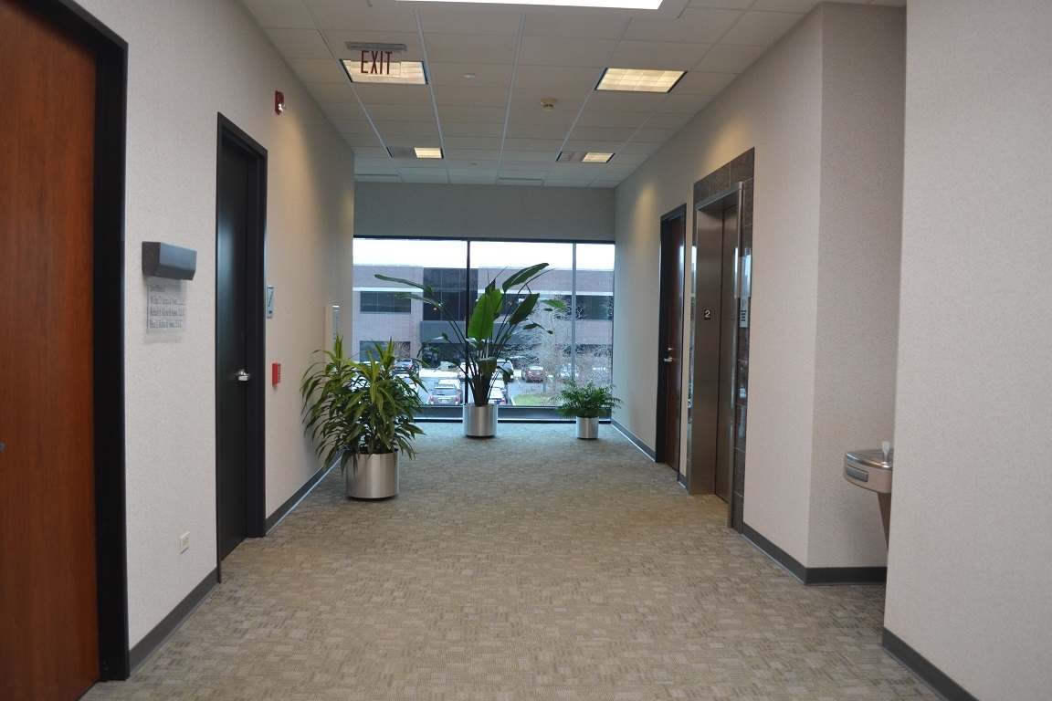 1770 Park Street Unit: 209