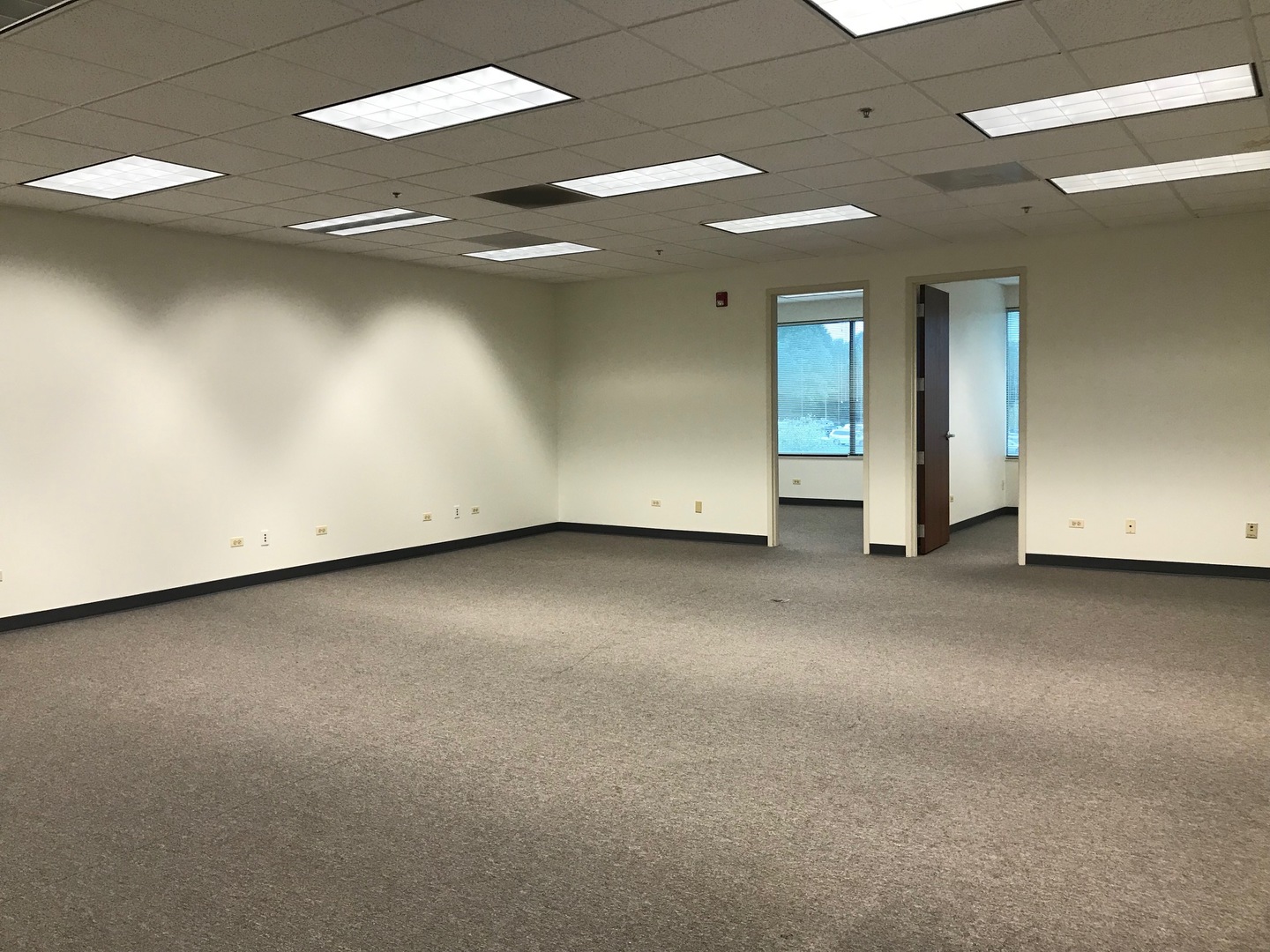1770 Park Street Unit: 209