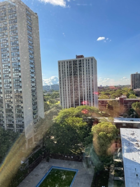 2605 S Indiana Avenue Unit: 1109