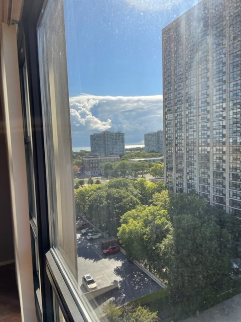 2605 S Indiana Avenue Unit: 1109