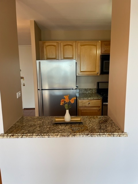 2605 S Indiana Avenue Unit: 1109