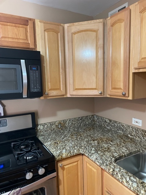2605 S Indiana Avenue Unit: 1109