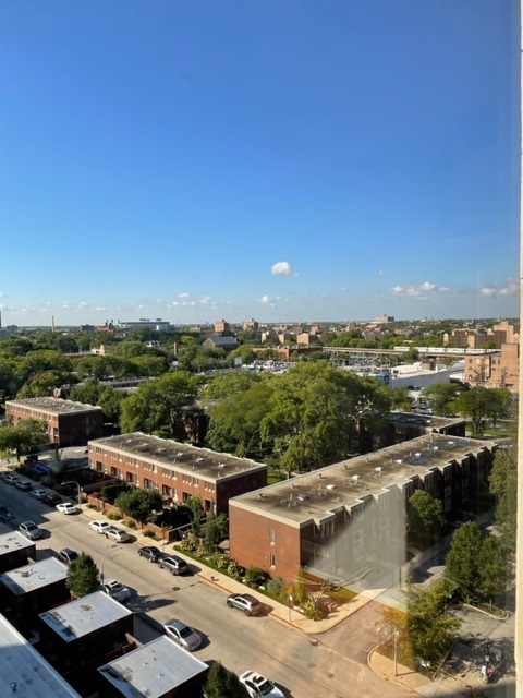 2605 S Indiana Avenue Unit: 1109
