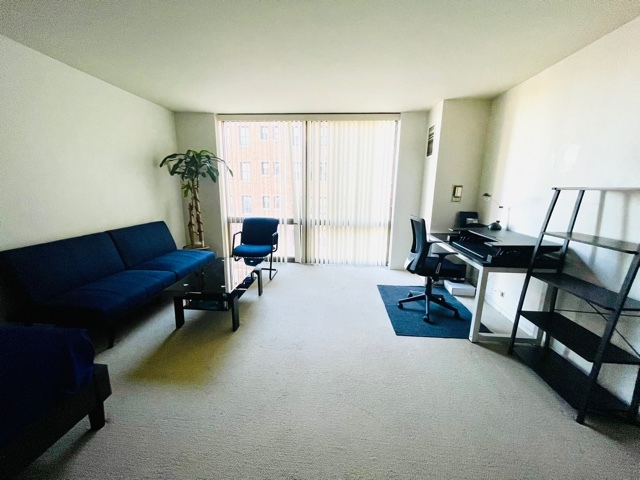 2650 N Lakeview Avenue Unit: 503