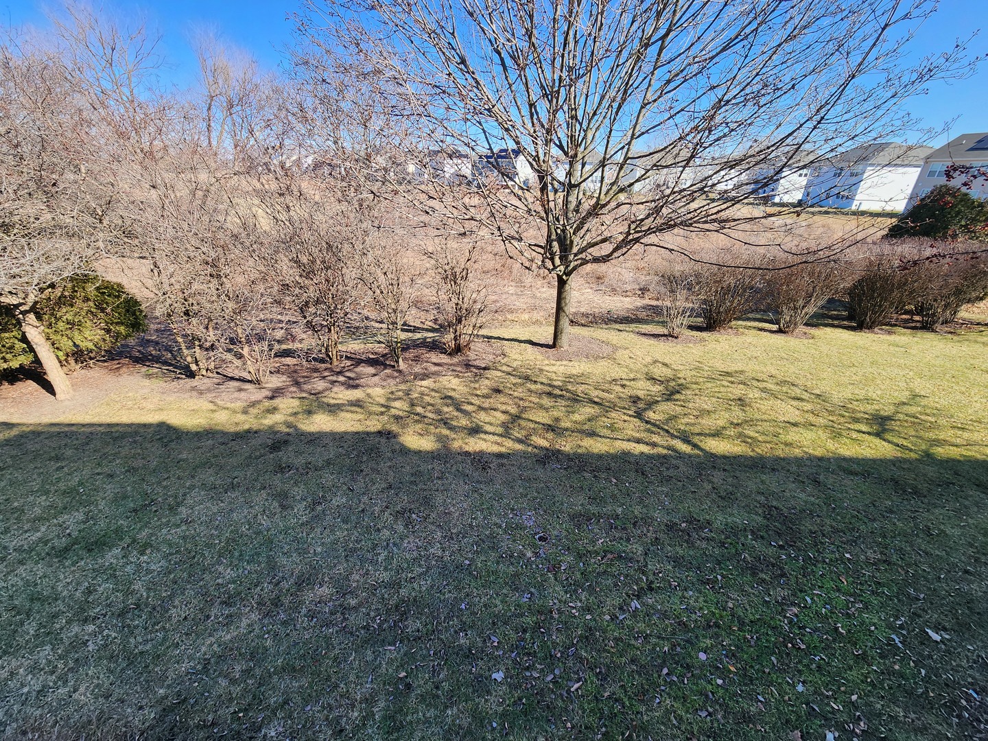 922 Genesee Drive