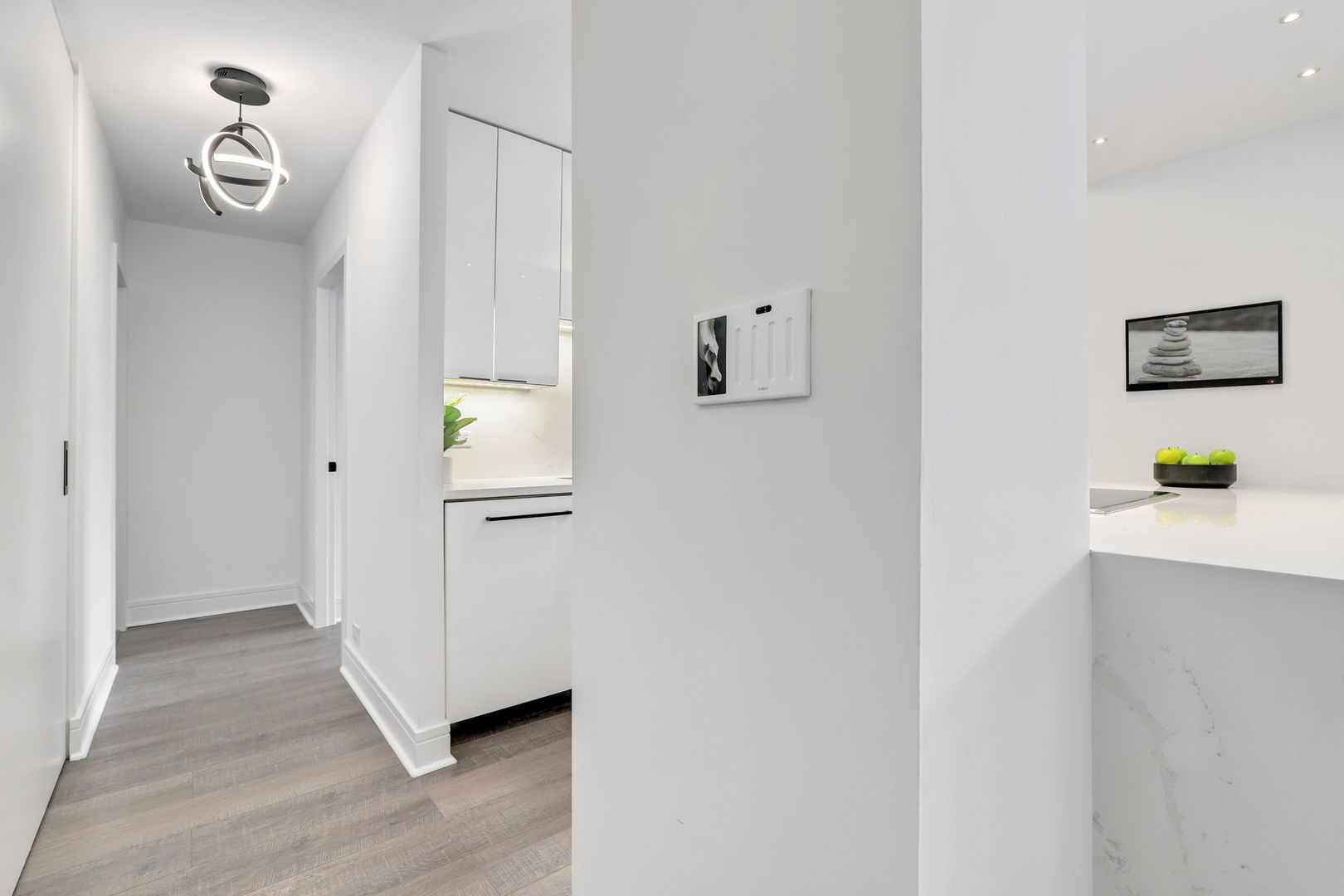 1455 N Sandburg Terrace Unit: 1006