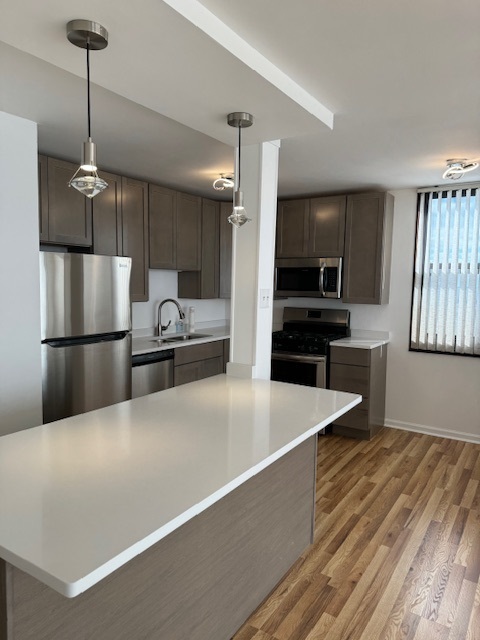 2901 S Michigan Avenue Unit: 1202