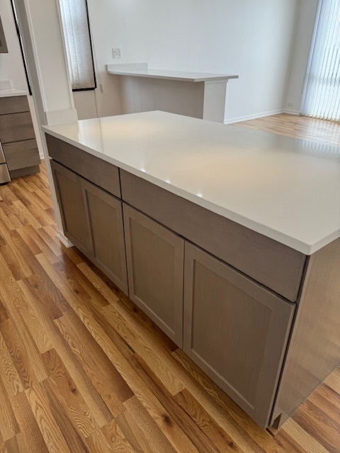 2901 S Michigan Avenue Unit: 1202