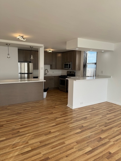 2901 S Michigan Avenue Unit: 1202