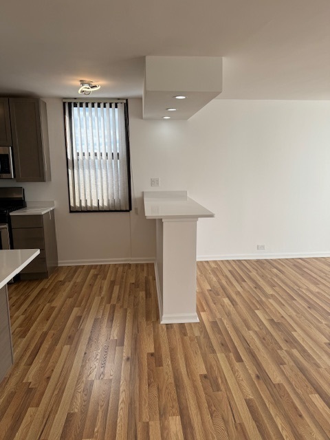 2901 S Michigan Avenue Unit: 1202