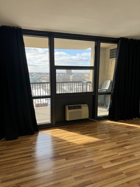 2901 S Michigan Avenue Unit: 1202