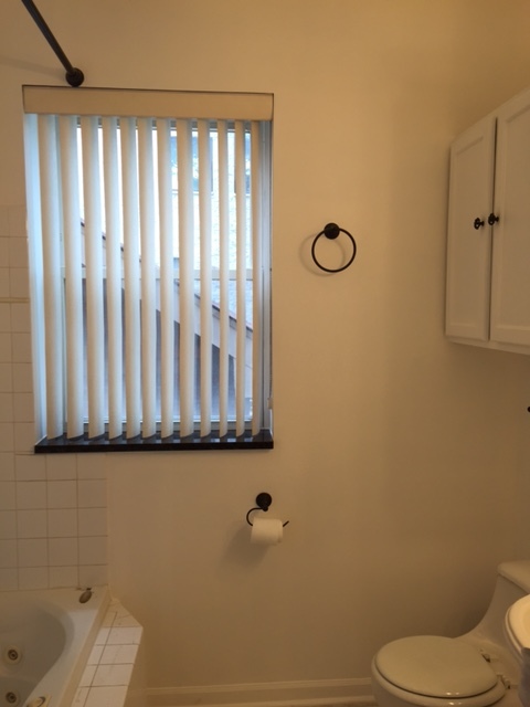 723 N Elizabeth Street Unit: 2