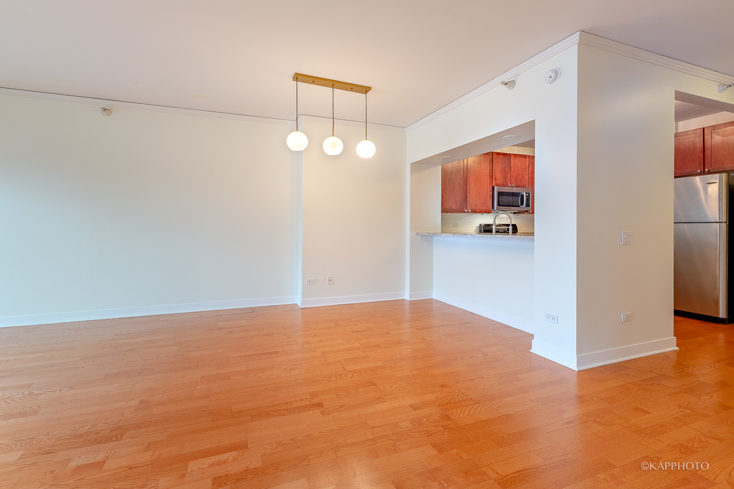 200 N Jefferson Street Unit: 1507