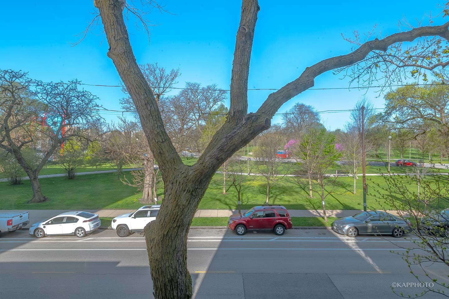 1217 N California Avenue Unit: 2