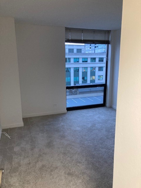 1120 N La Salle Drive Unit: 12D