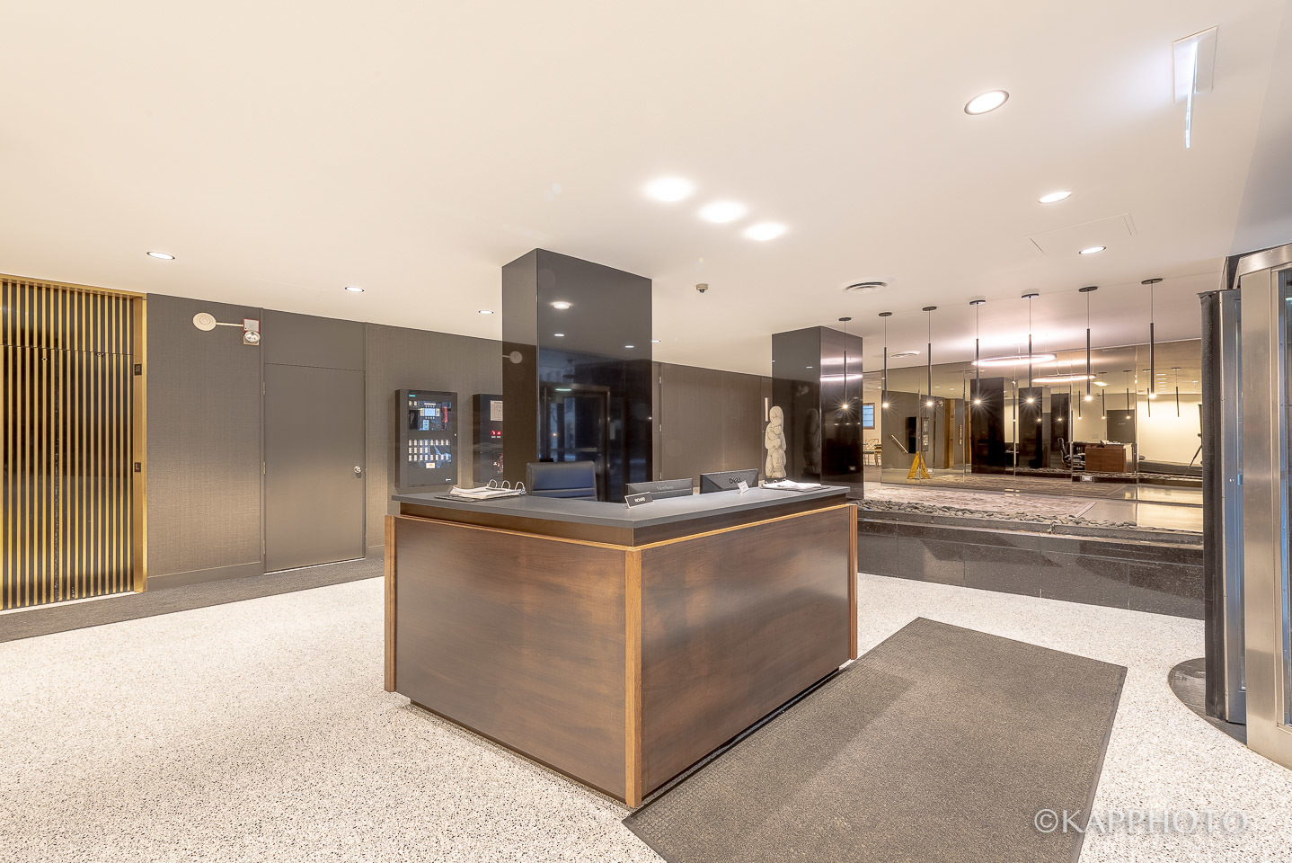 253 E Delaware Place Unit: 12F