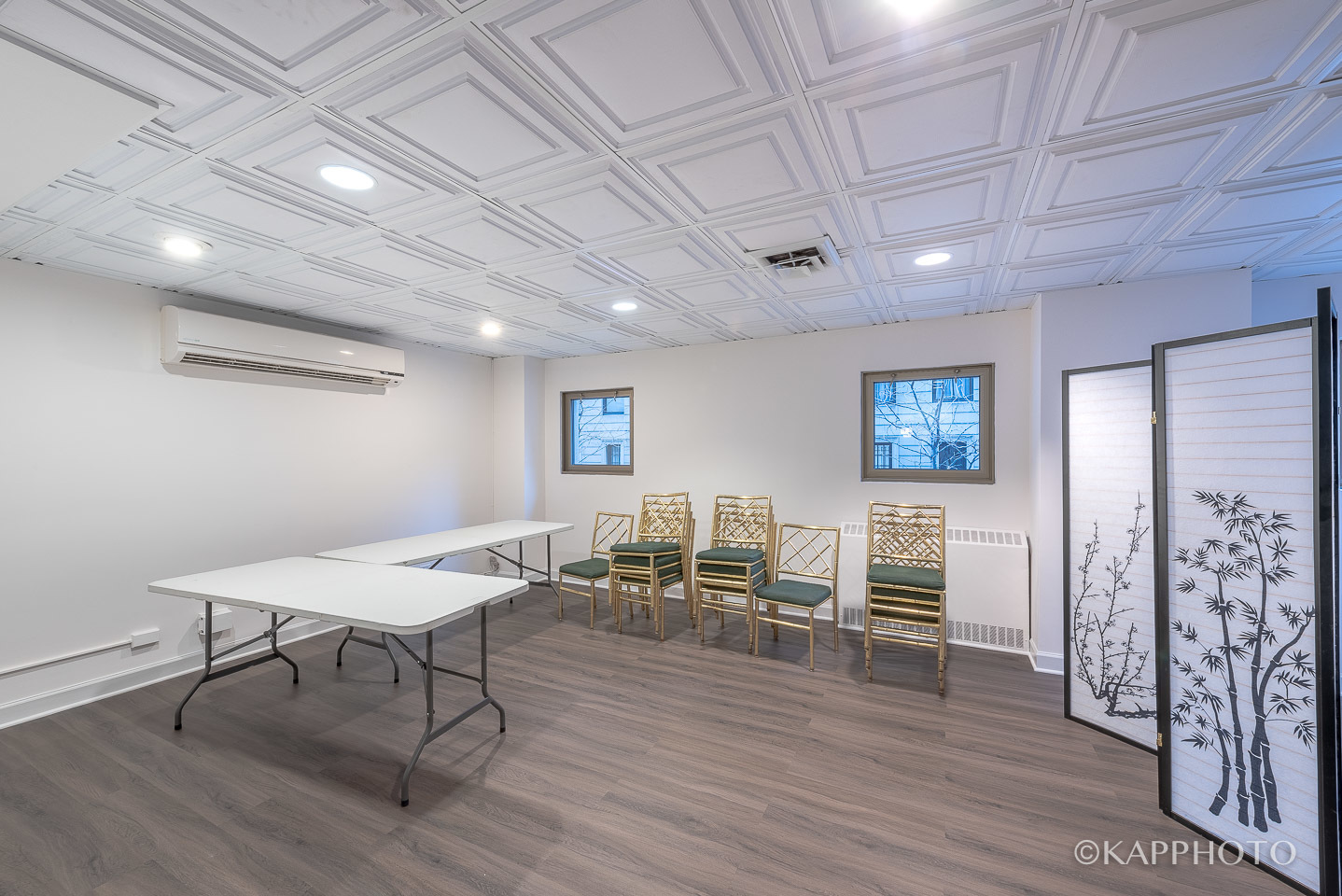 253 E Delaware Place Unit: 12F