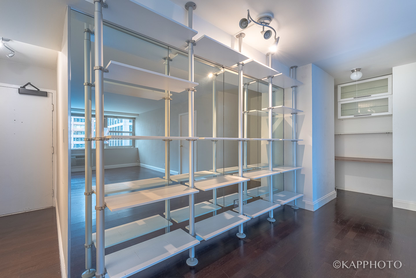 253 E Delaware Place Unit: 12F