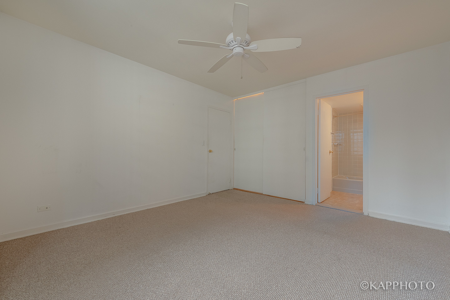 253 E Delaware Place Unit: 12F