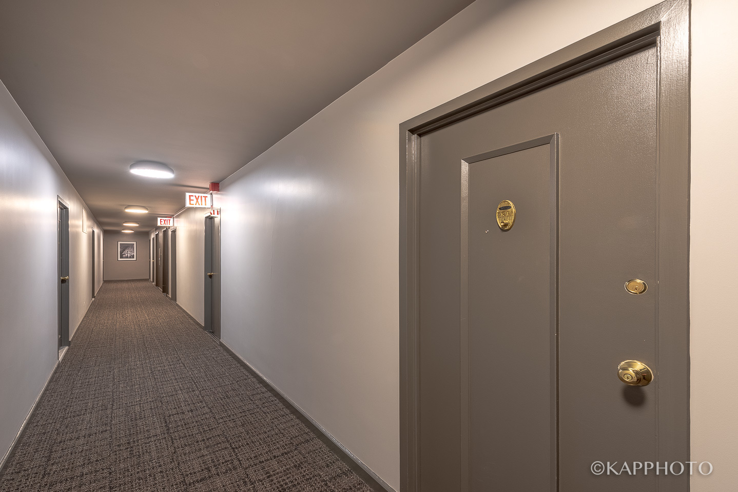 253 E Delaware Place Unit: 12F