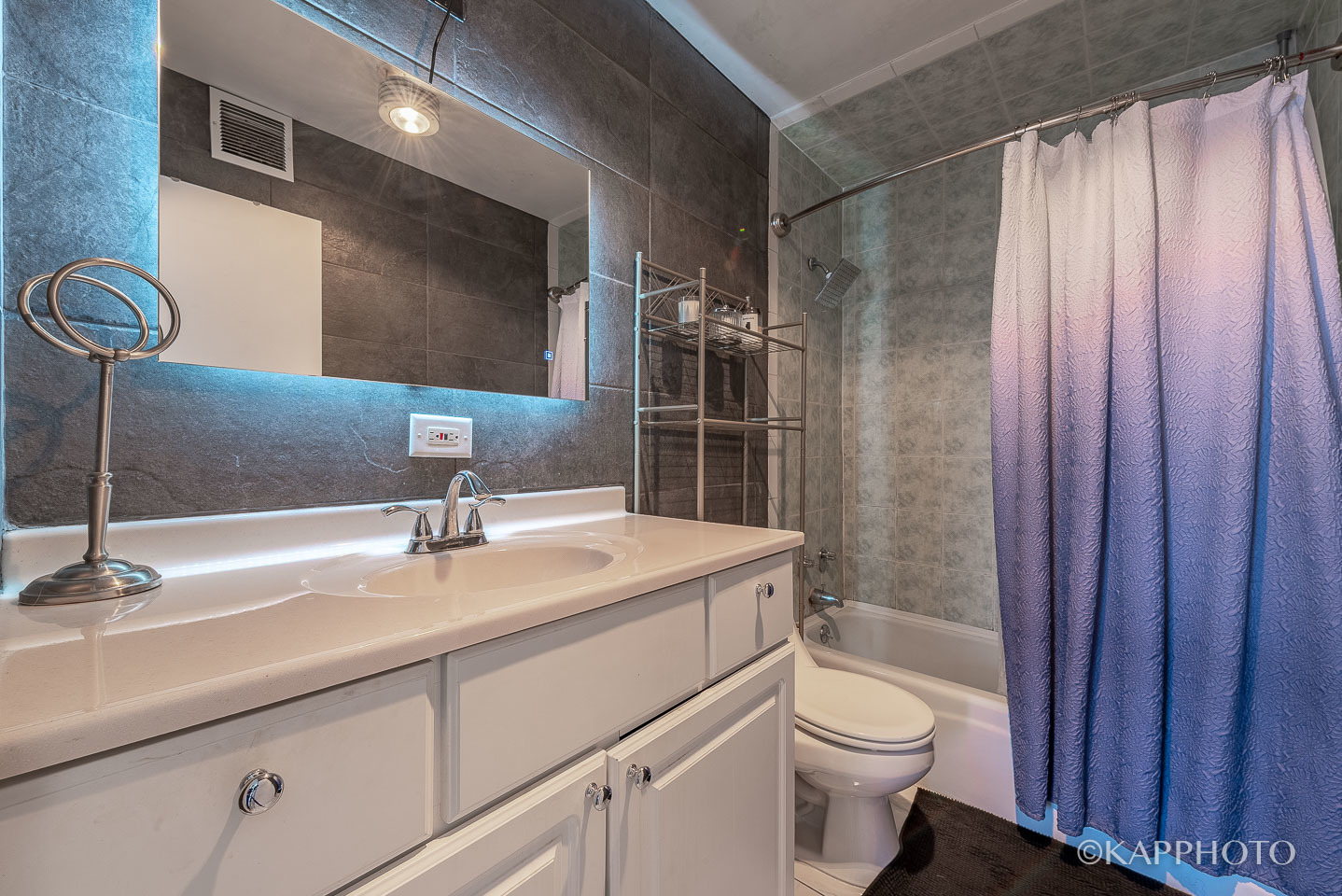 3930 N Pine Grove Avenue Unit: 2005