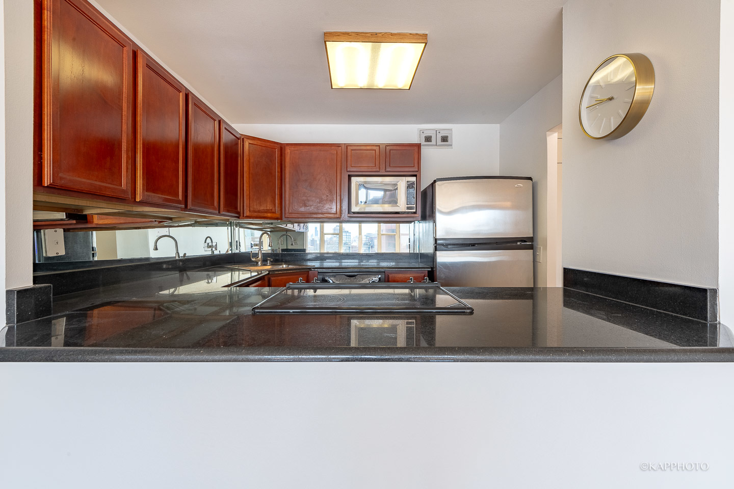 525 W Hawthorne Place Unit: 1601