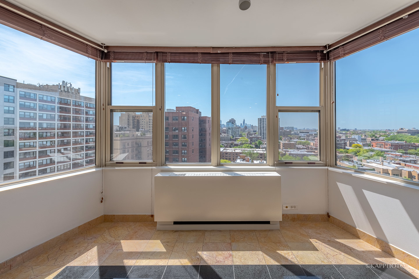 525 W Hawthorne Place Unit: 1601