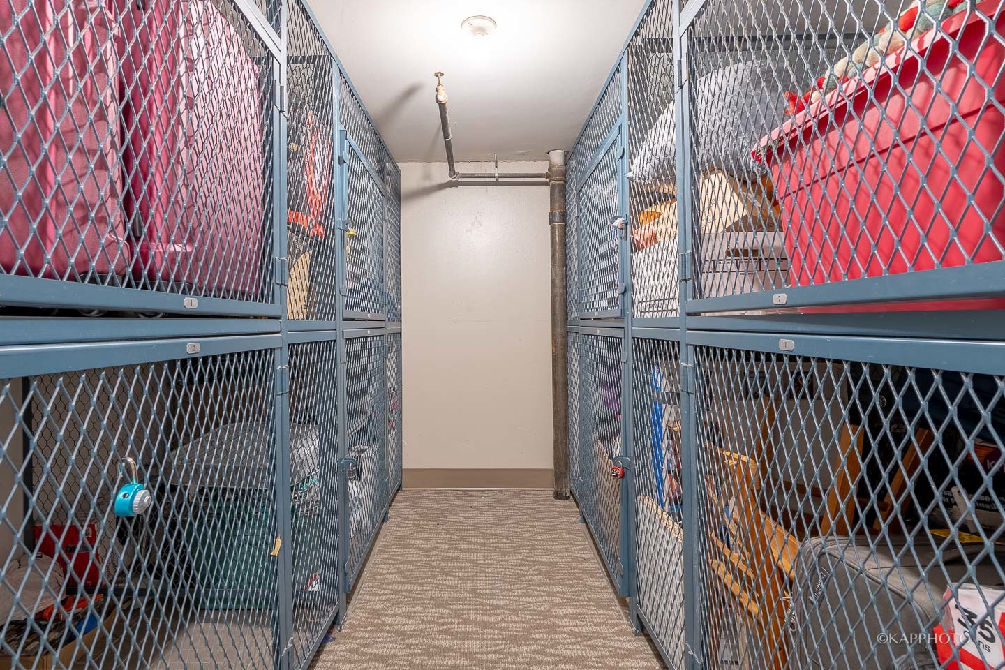 525 W Hawthorne Place Unit: 1601