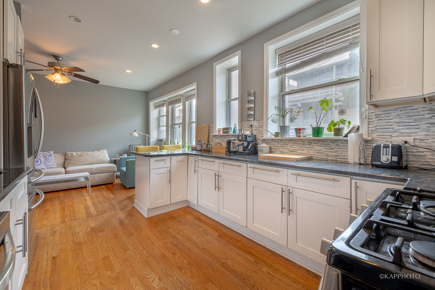 1323 W Addison Street Unit: 1B