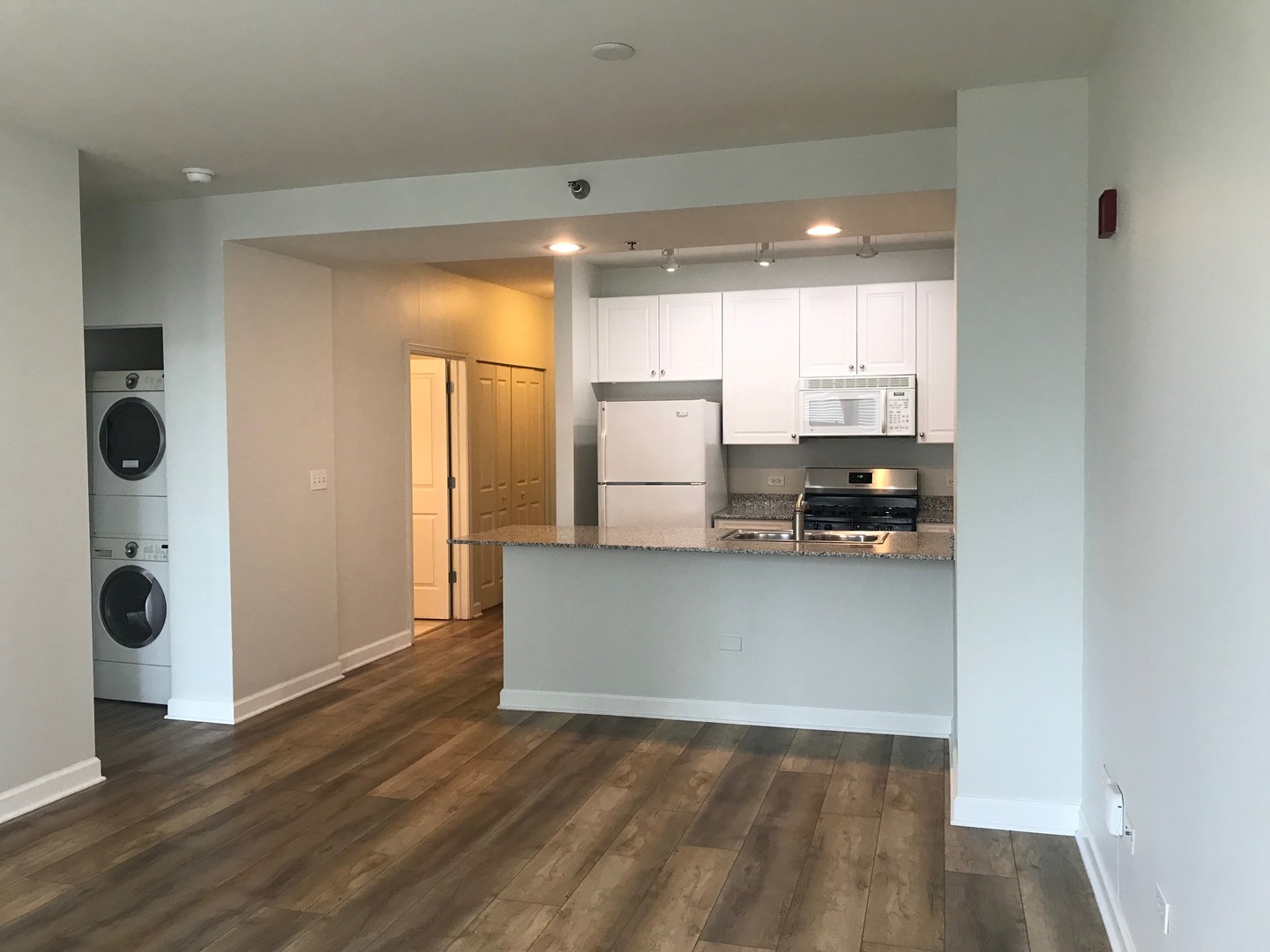 1250 S Michigan Avenue Unit: 1600