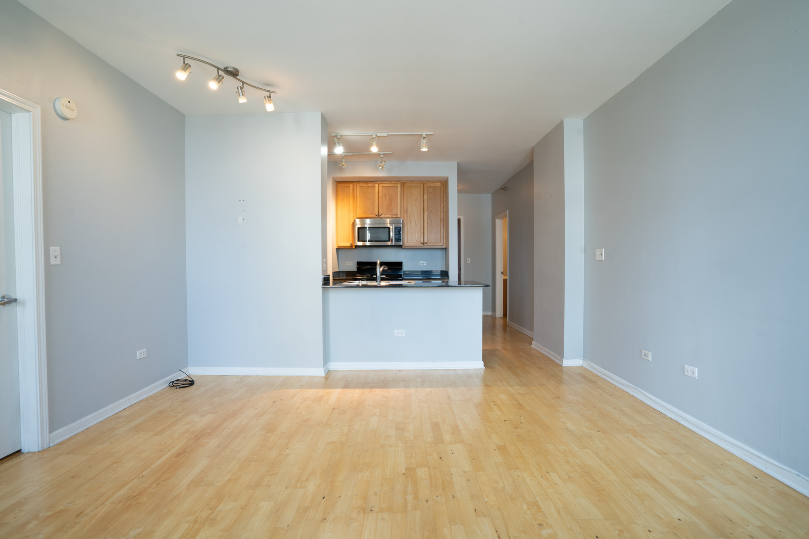 1255 S State Street Unit: 1409