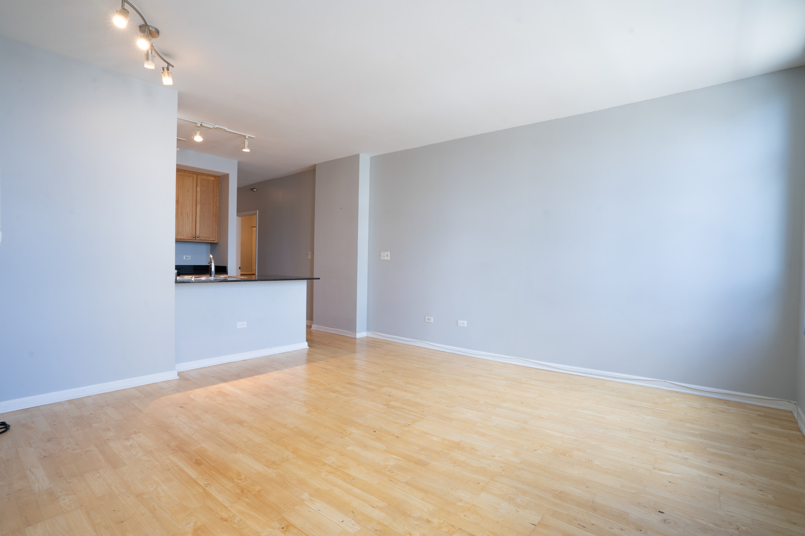 1255 S State Street Unit: 1409