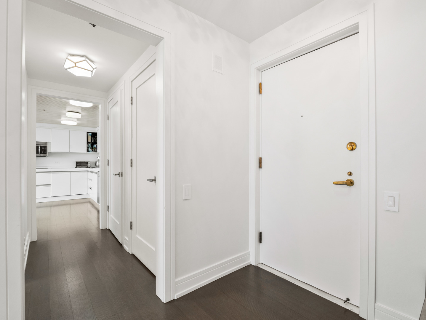 161 E Chicago Avenue Unit: 42H