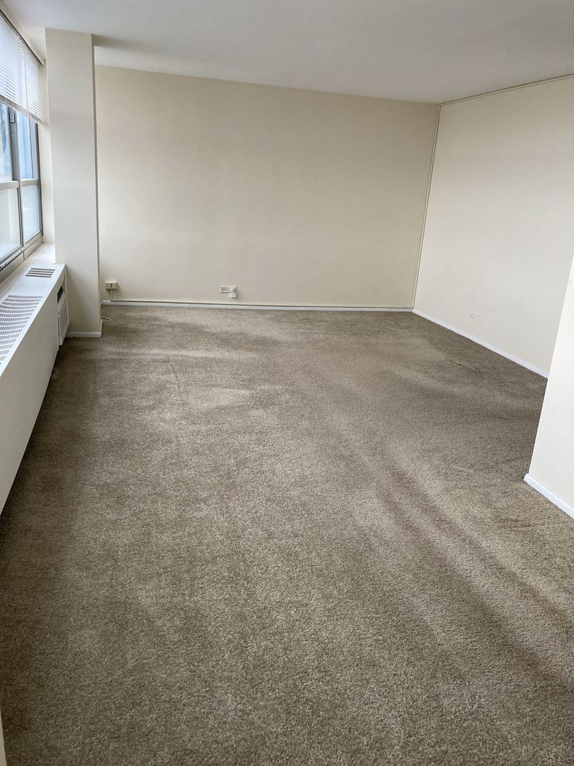 3550 N Lake Shore Drive Unit: 1128