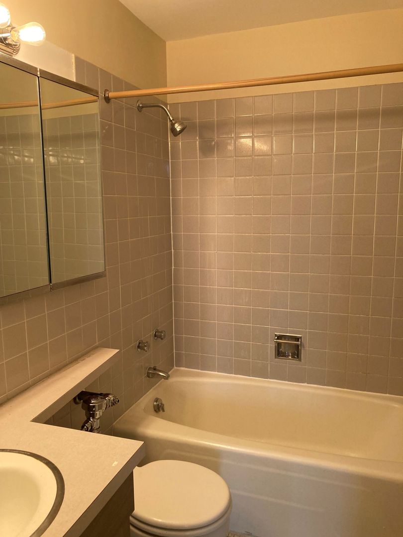 3550 N Lake Shore Drive Unit: 1128