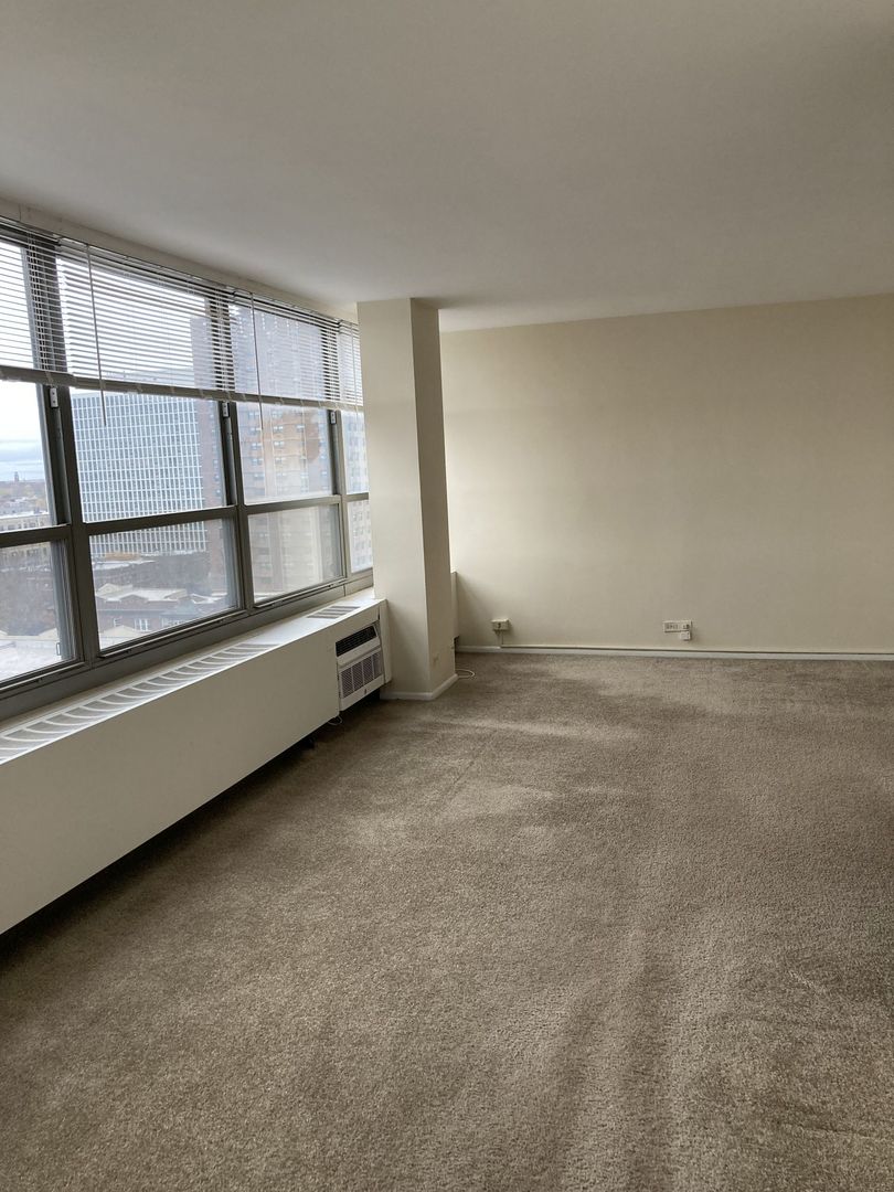 3550 N Lake Shore Drive Unit: 1128