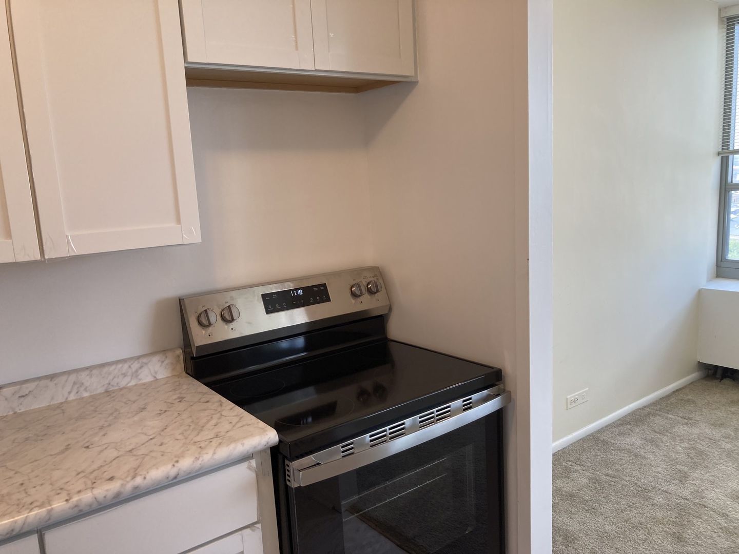 3550 N Lake Shore Drive Unit: 1128