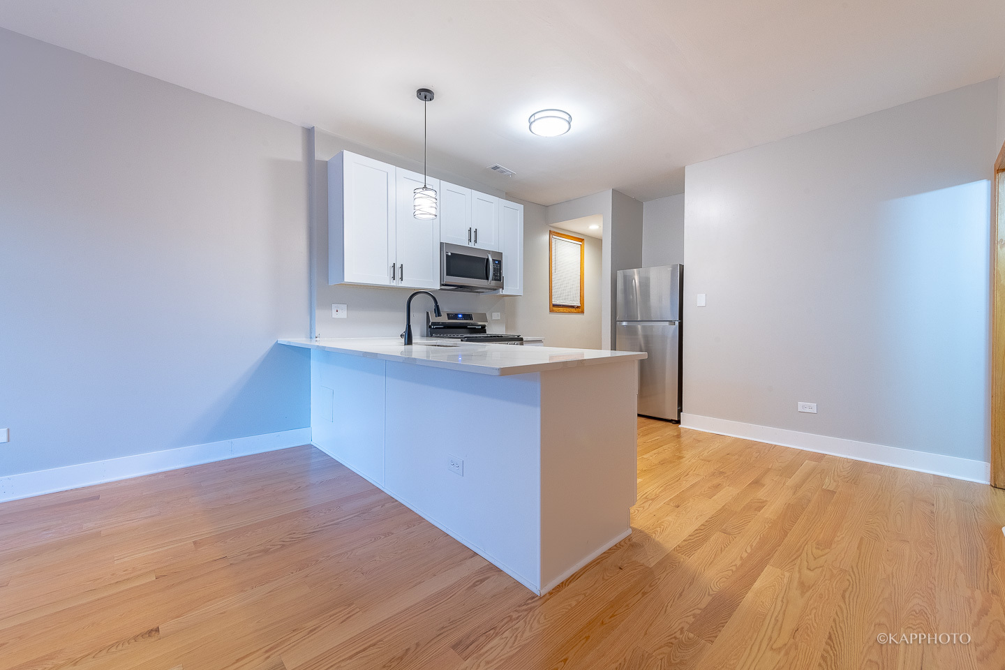 2457 W Lexington Street Unit: 2