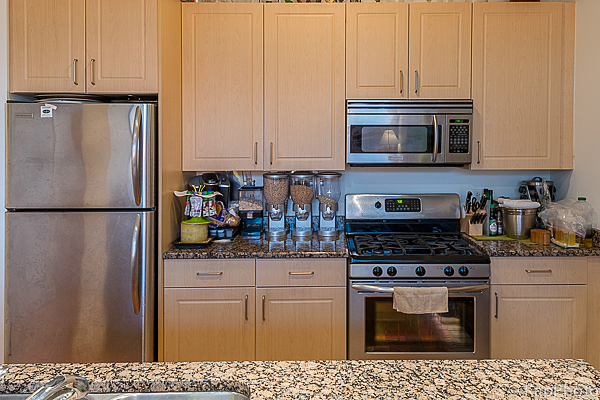 1620 S Michigan Avenue Unit: 1115