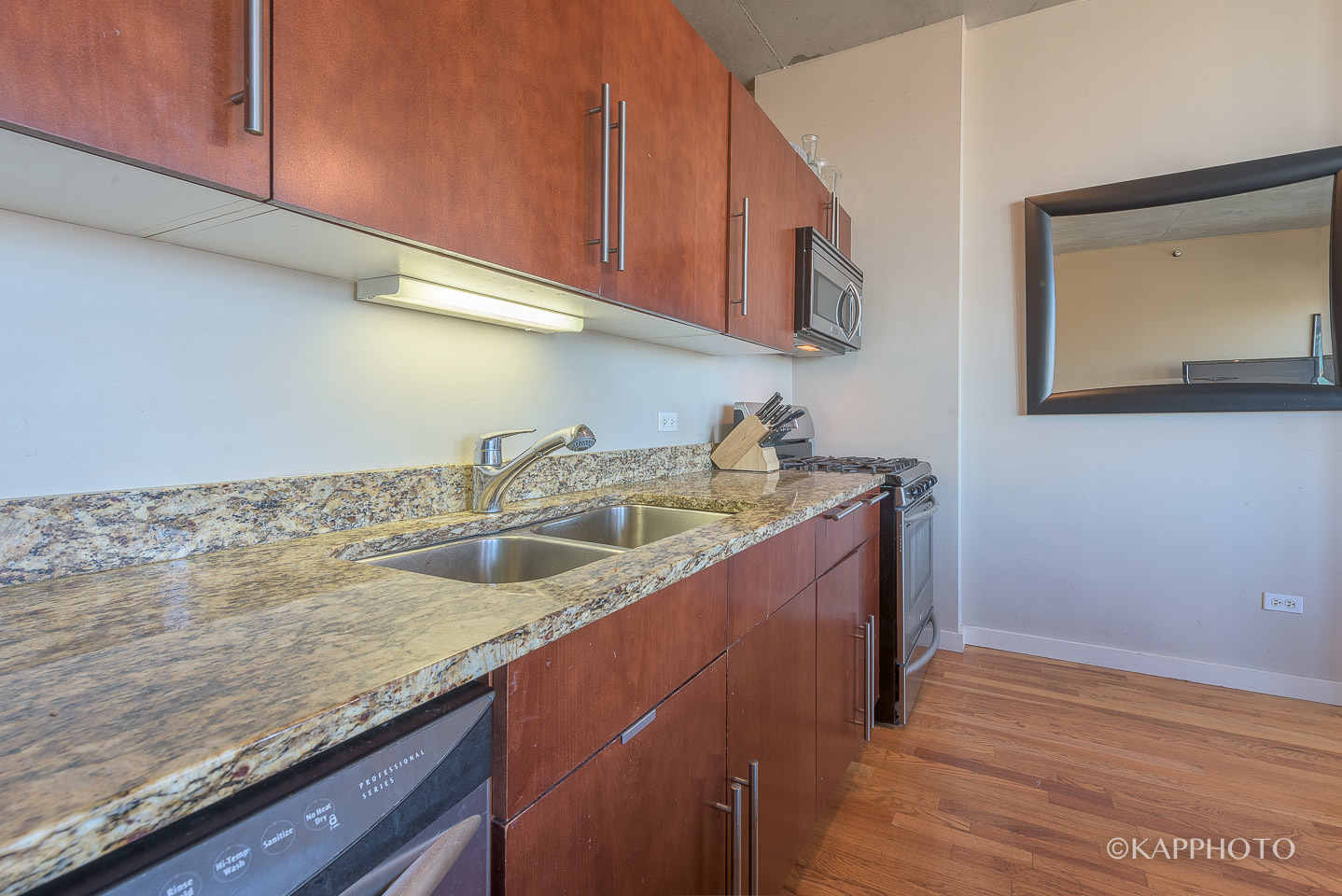 1720 S Michigan Avenue Unit: 1514