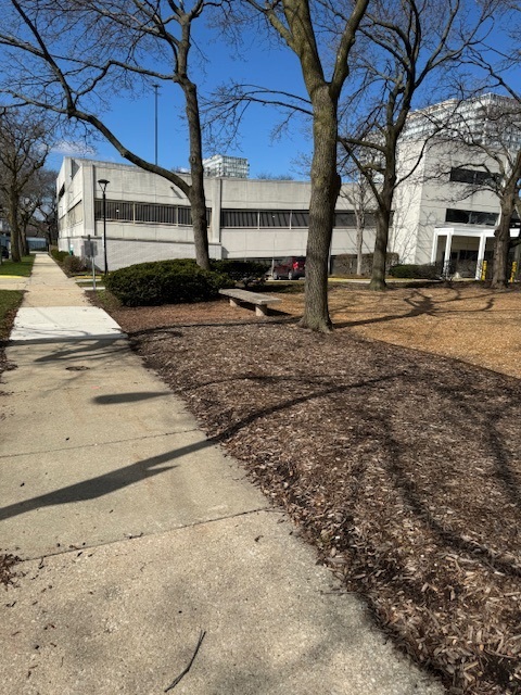 601 E 32nd Street Unit: 203