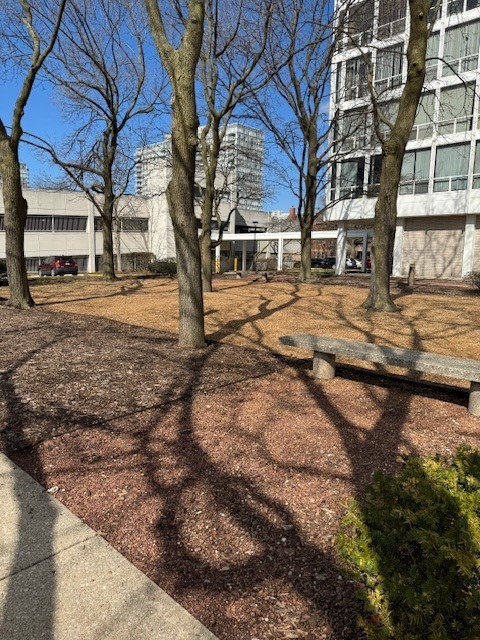 601 E 32nd Street Unit: 203