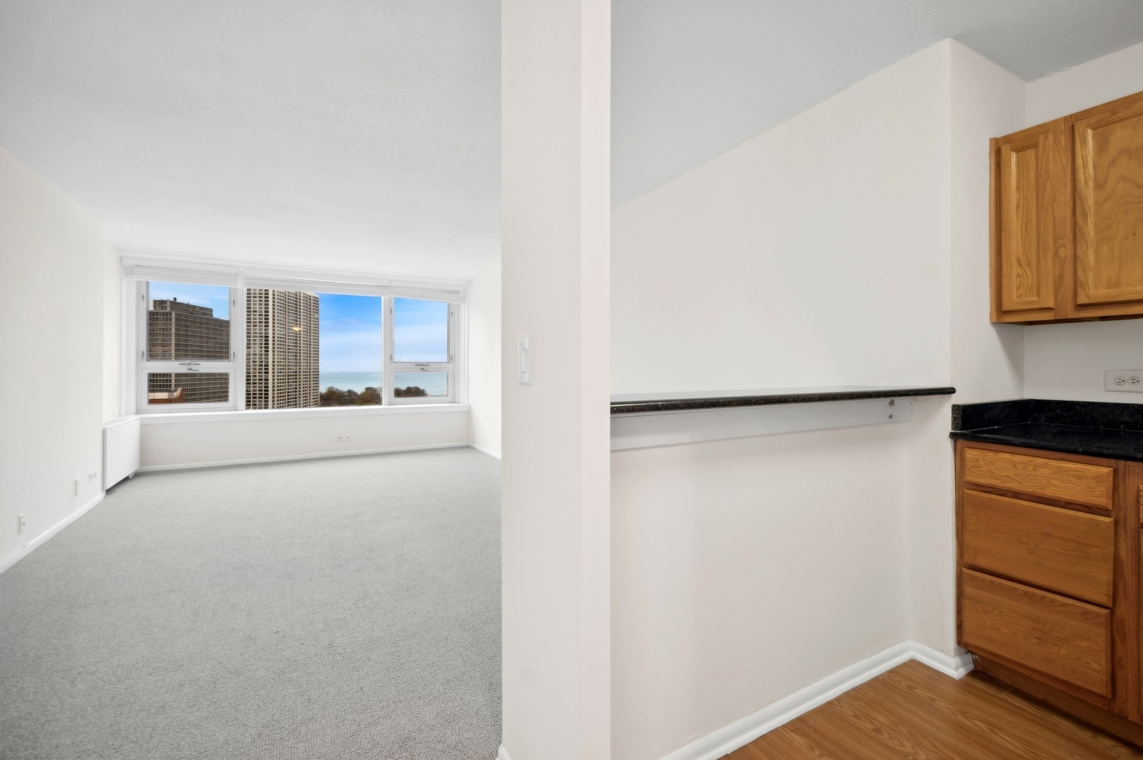 2728 N Hampden Court Unit: 1807