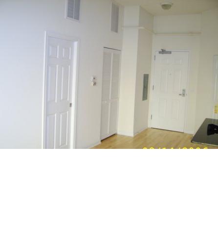 1919 S Michigan Avenue Unit: 412