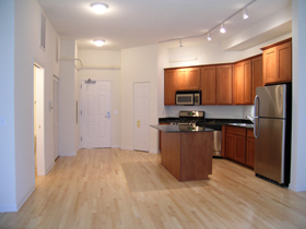 1919 S Michigan Avenue Unit: 412