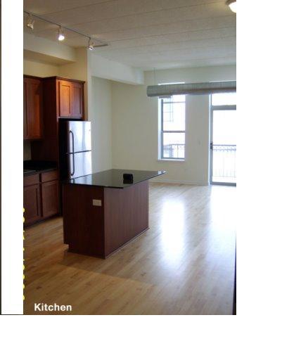 1919 S Michigan Avenue Unit: 412