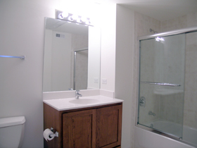1919 S Michigan Avenue Unit: 412