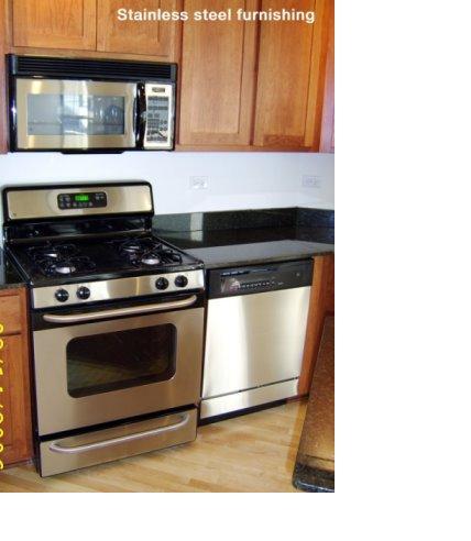 1919 S Michigan Avenue Unit: 412