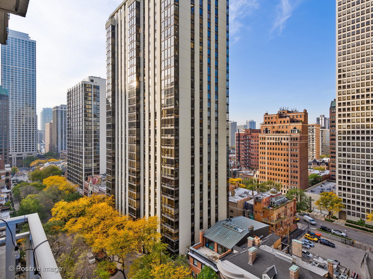 1000 N Lake Shore Drive Unit: 1604